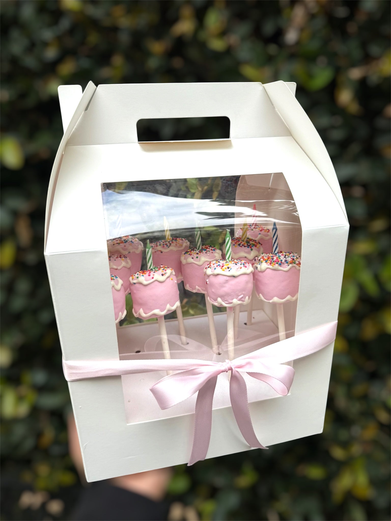 Birthday Cake Pops #1