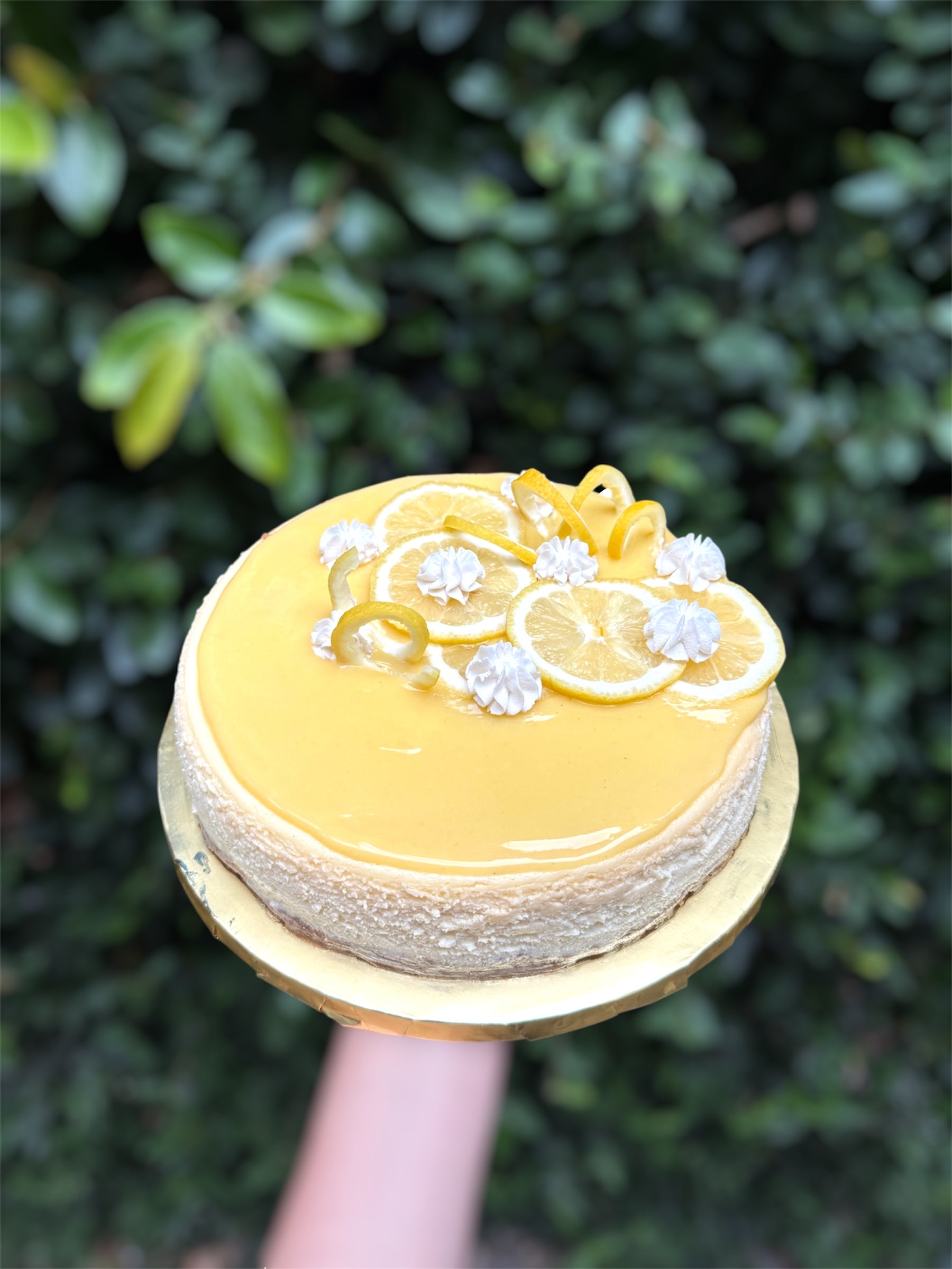 Lemon Cheesecake